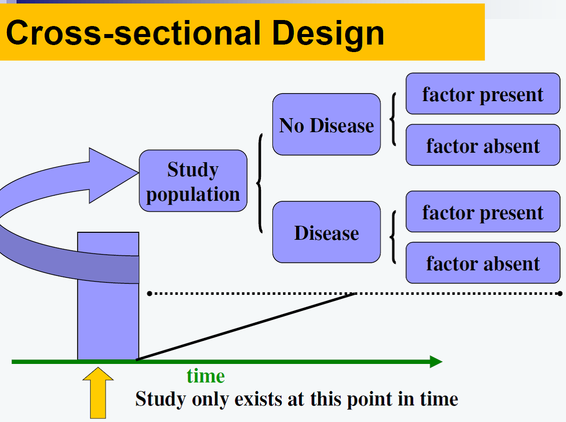 Study Design Observational Study Designs Cross Sectional Study