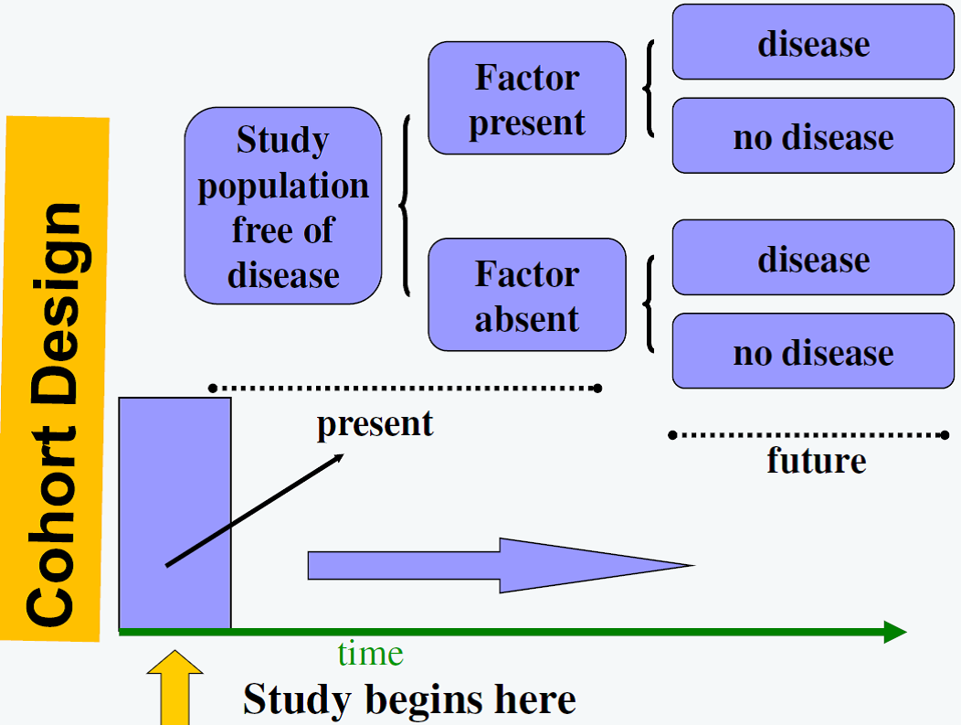 research study design cohort