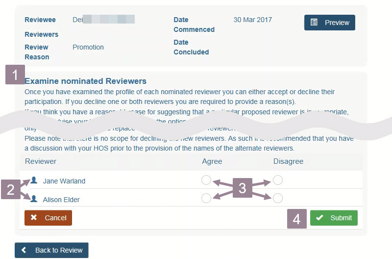 screenshot of the Summative Peer Review detail window