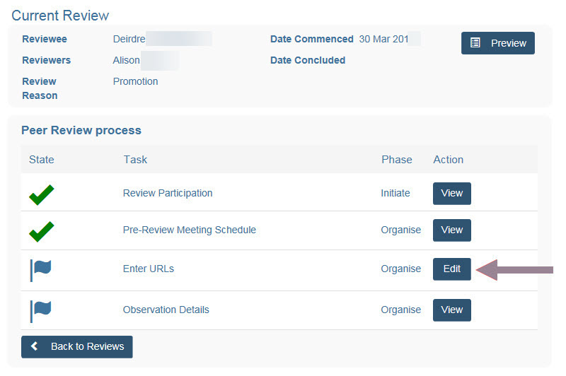 screenshot of the overview window of the Review Process