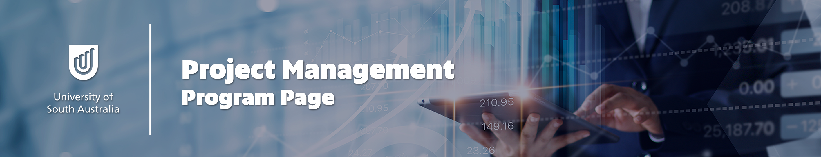 Project Management banner