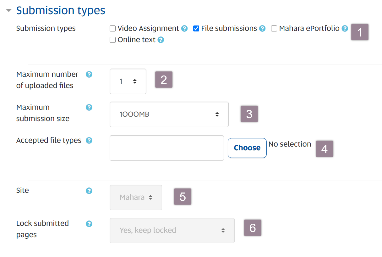 Assignment settings> Submission types options, including submission types, file upload number, and file types.