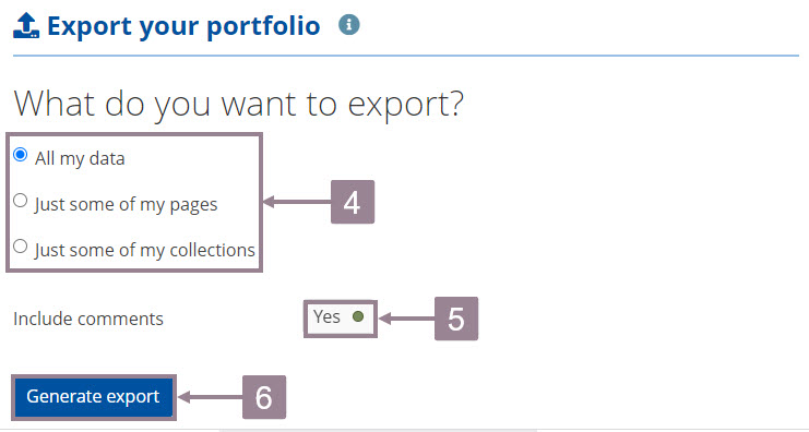 Screenshot of the export generation section with fields to select pages and collections , include comments and export button 