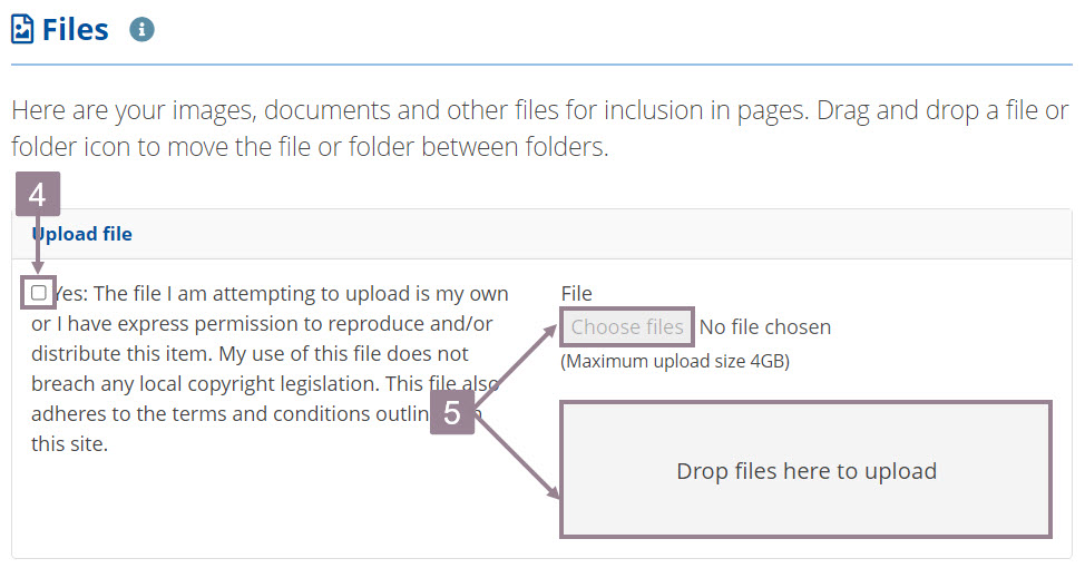 Screenshot showing the file upload section with the copoy right agreement on the left and upload file button or box on the ri