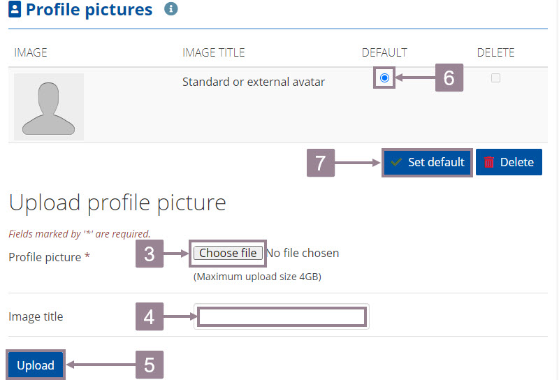 screenshot showing the upload profile picture section with choose file and upload button and default selection on the top. 