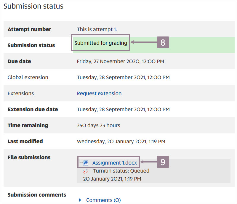 Screenshot showing the submission window after a successful submission. 
