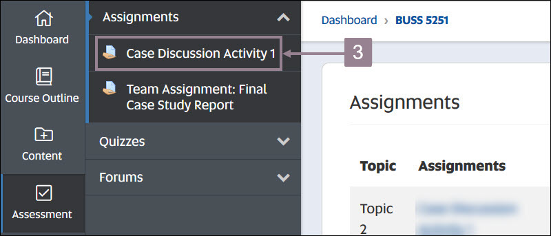Screenshot showing a summative assignment in the assignment section.