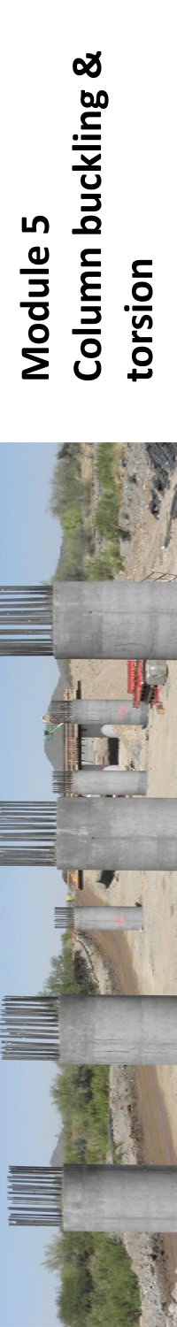 Module 5 banner
