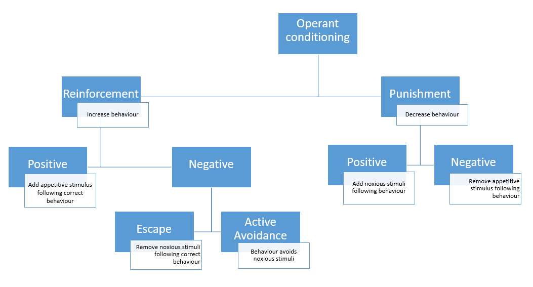 Government response. What is Behaviorism. Reinforcement and punishment. Operant Behavior.