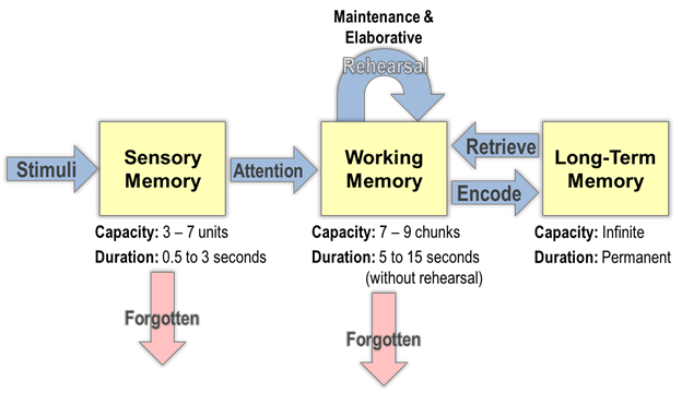 Module Information Processing Theory of Learning