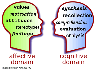 Difference between the cognitive and affective domains