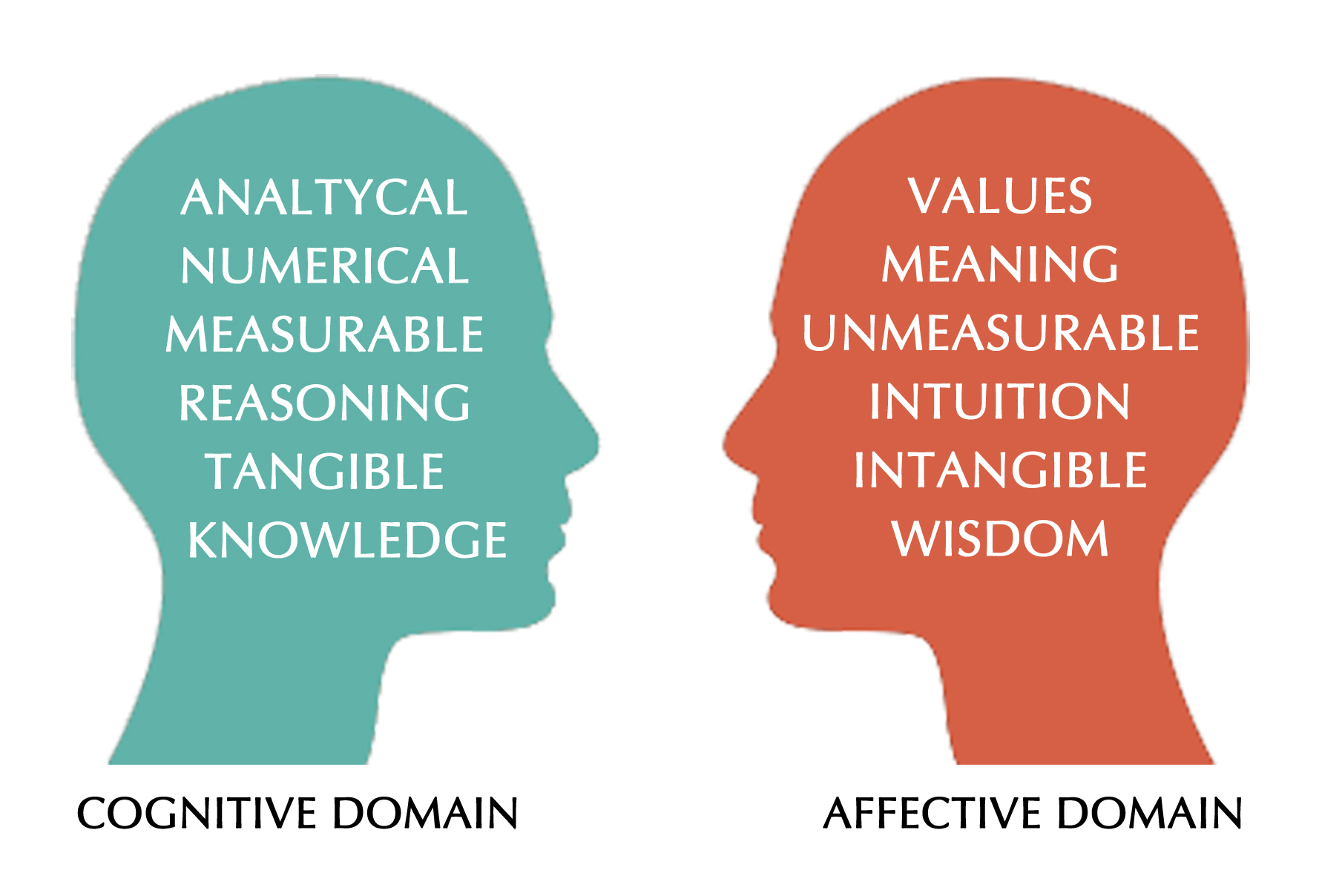 Difference between the cognitive and affective domains