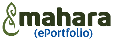 ePortfolio icon